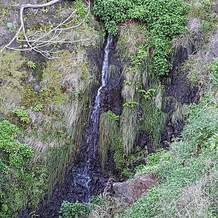 Casa De Pedra Holiday home Seixal (Madeira)